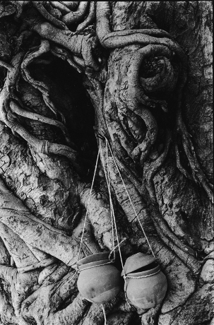 Spirit Tree,Kashi,Varanasi,India,gelatin silver print