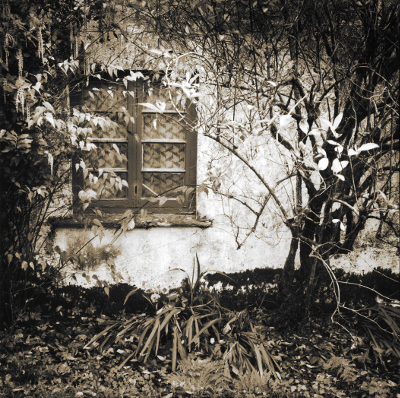 Wedlake, Dartmoor,window,gelatin silver print