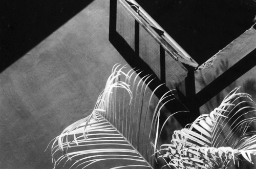 Window Abstract,gelatin silver print