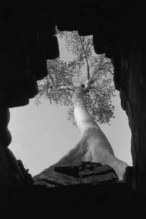 Preh Khan,Angkor Wat,Cambodia,gelatin silver print