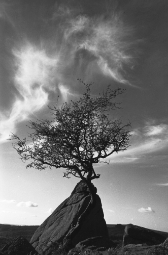 Cuckoo Rock,Dartmoor,gelatin silver print