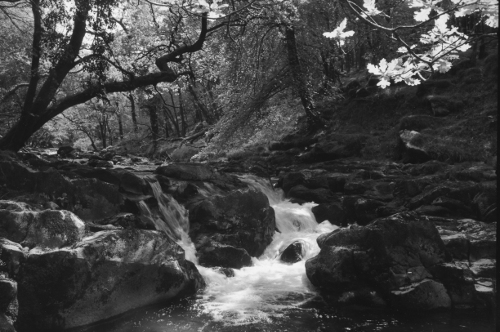 Plym Valley,Waterfall,Dartmoor,gelatin silver print