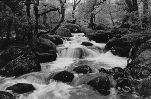 Riverworld 4,River Walkham,Dartmoor,gelatin silver print