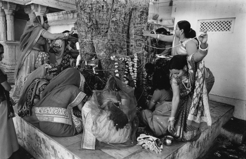 Pipul Tree Puja 1,Udaipur,Puja,Worship,India,gelatin silver print