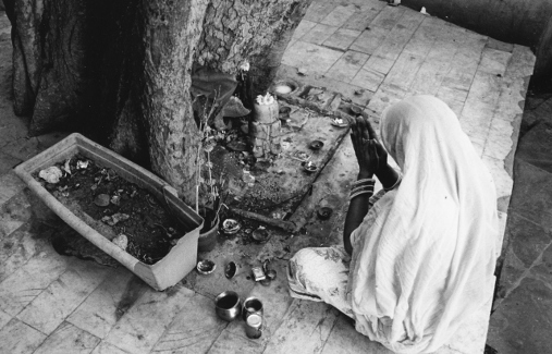Puja,Tree Shrine,Udaipur,Shiva,India,gelatin silver print
