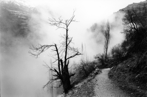 Sketches of Spain,Capileira,gelatin silver print