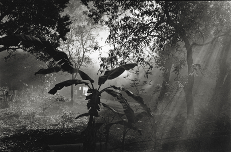 temple garden,jata shankar,pachmarhi,madhya pradesh ,India,gelatin silver print
