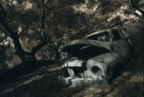 Truck in Olive Grove,Corfu,gelatin silver print