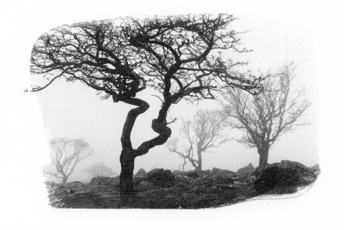 Foggintor Quarry, Dartmoor, Dartmoor Landscape, silver emulsion print